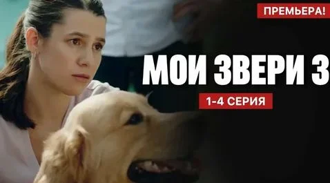 Мои звери 4 сезон (2025)