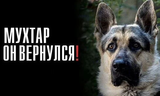 Мухтар. Он вернулся 1, 2 серия 05.01.2026 смотреть онлайн